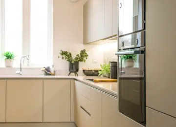 A bright, modern kitchen with minimal cupboards, and vibrant green plants on counters.