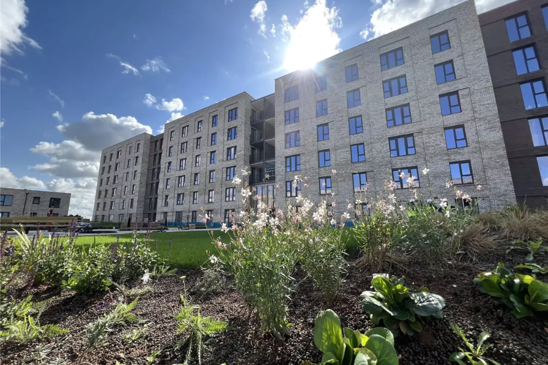 The Dials apartment building taken from the resident's communal garden on a bright sunny day.